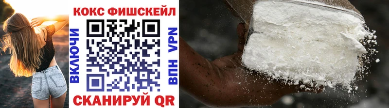 Кокаин Fish Scale  darknet клад  Богородицк  OMG сайт 