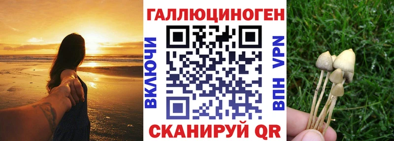 Псилоцибиновые грибы прущие грибы купить наркоту omg вход Богородицк
